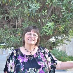 D.E. Hemstreet standing in front of an olive tree.