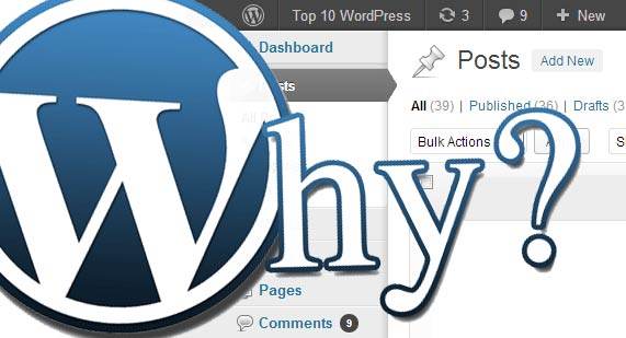 Why do you need wordpress?.