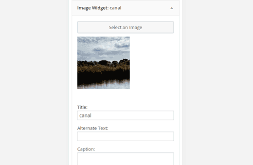 image-widget